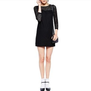 Jack Wills | Deavely Black Lace Mini Sheath Dress with 3/4 Sleeves